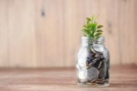 a jar of coins with a plant